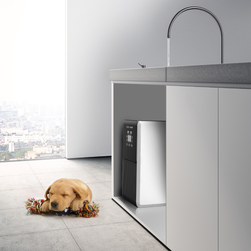 <strong>净水器加盟店需要多少钱？整体的来算一下！</strong>